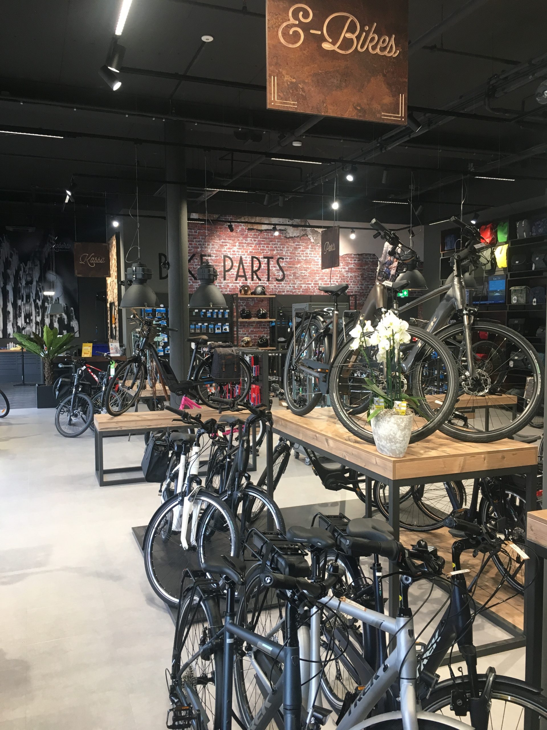 Roberto Bikes - Spectrus